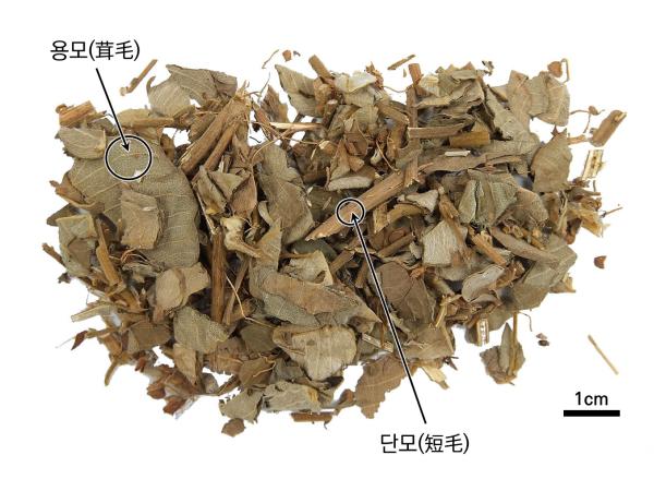 광금전초 대표 이미지