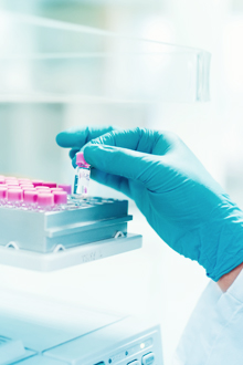 한국한의약진흥원 ~ 한약진흥재단 관련이미지2