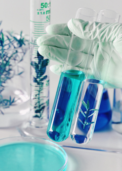 전남한방산업진흥원 관련이미지1